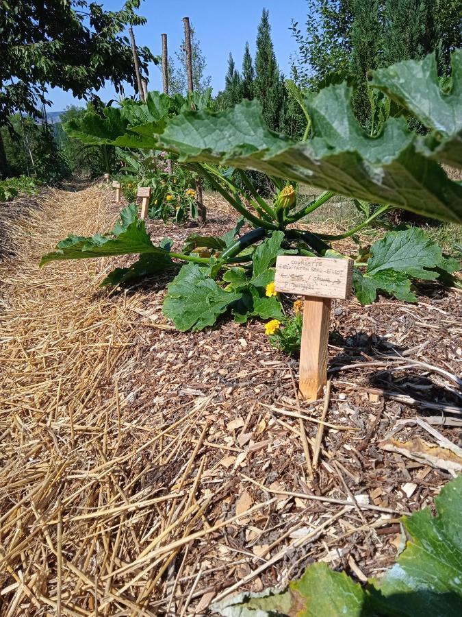Les Jardins Des 3 Provinces- Gite Montcharvot Exterior foto